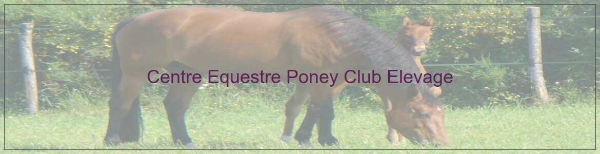 Centre Equestre Poney Club Elevage